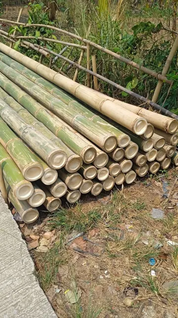 Bambu siap kirim